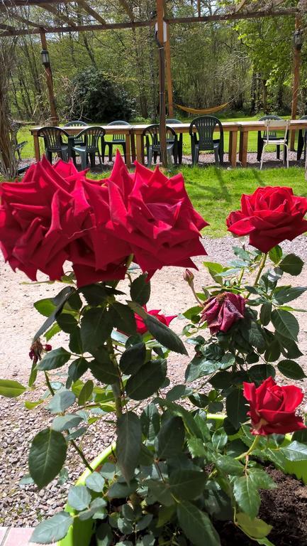 Le Moulin De Douzy Bed and Breakfast Saint-Christophe  Εξωτερικό φωτογραφία