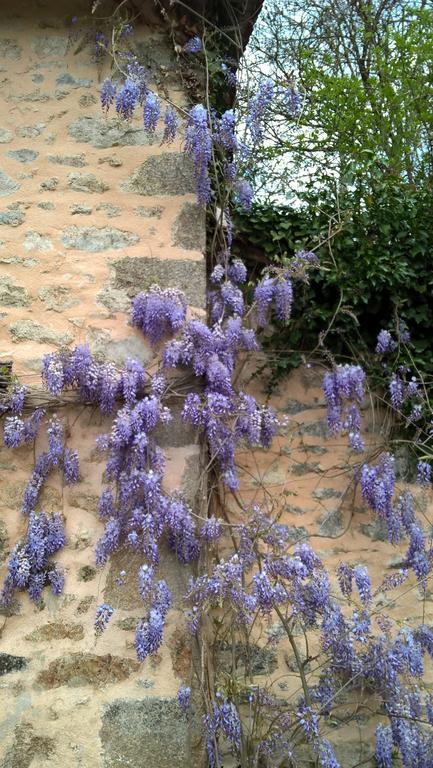 Le Moulin De Douzy Bed and Breakfast Saint-Christophe  Εξωτερικό φωτογραφία